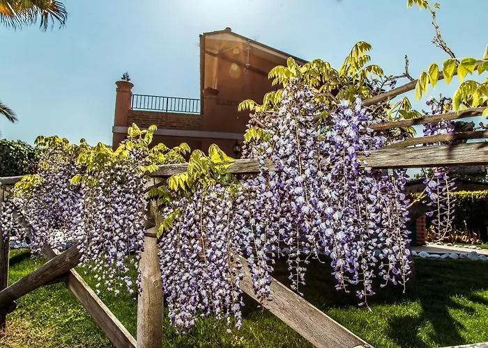 Le Gazze Agroturismo Porto San Giorgio