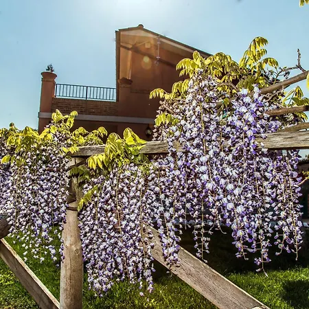Le Gazze Lantgård Porto San Giorgio